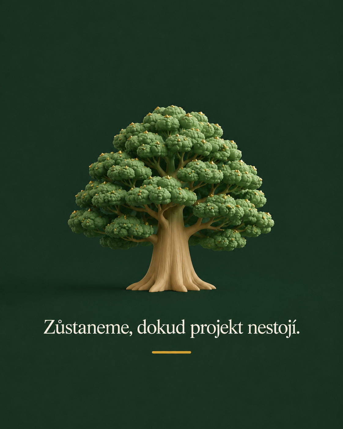 Sekvoje — symbol dlouhověkosti a stability Sequoia Invest